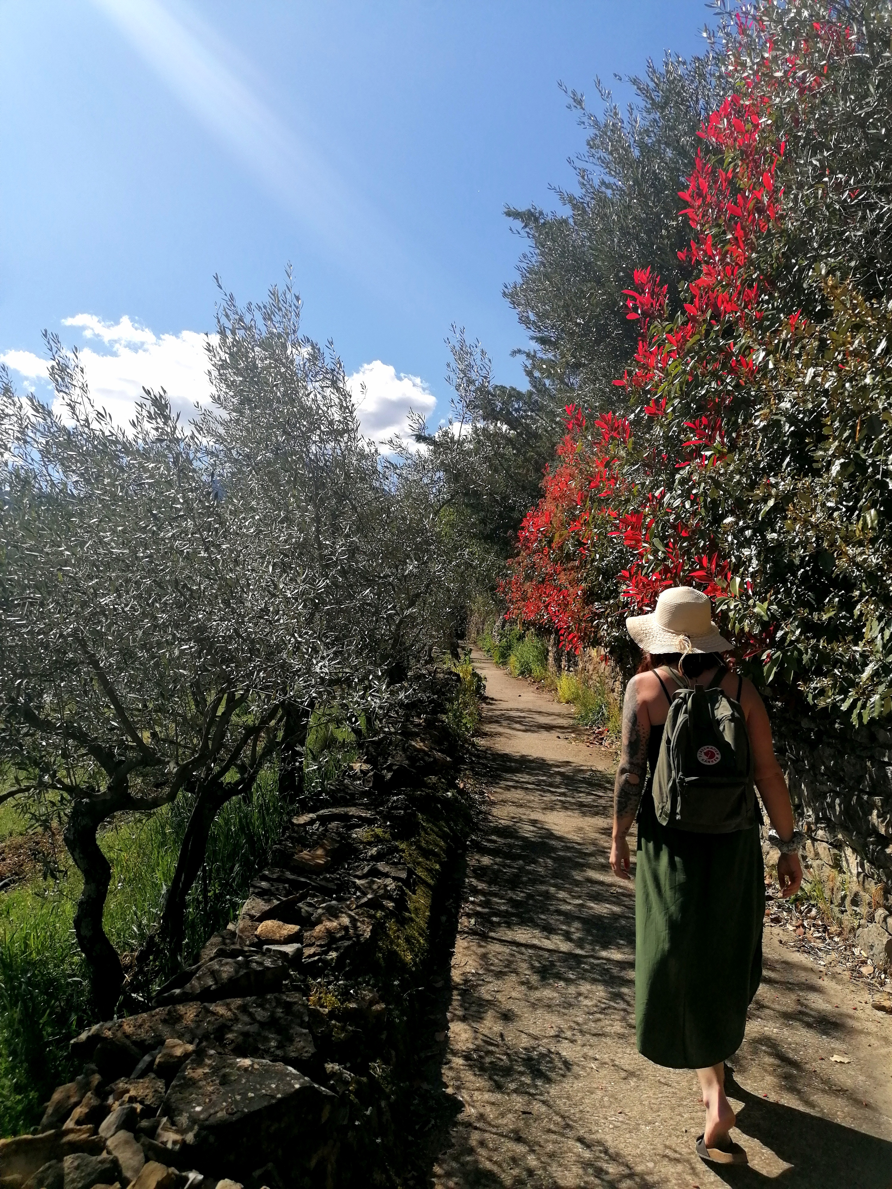 Photo n° 1 de l'avis de julie.o fait le 01/10/2020 à 09:44