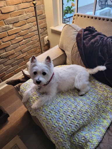 Boutique «Fetching Canine Grooming and Boutique», reviews and photos, 1490 W State Rd 434, Longwood, FL 32750, USA