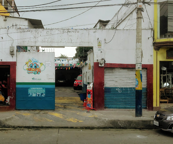 Lavadora De Carro ECOLIMPIA - Servicio de lavado de coches