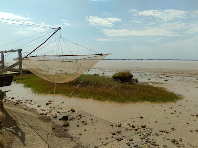 903 Les Grandes Calonges, 33820 Saint-Ciers-sur-Gironde à Saint-Ciers-sur-Gironde