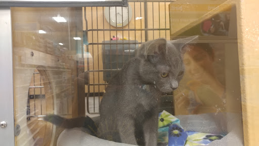Pet Supply Store «PetSmart», reviews and photos, 26532 Towne Centre Dr, Foothill Ranch, CA 92610, USA