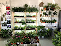 Best Plant Shops In Seattle Near You