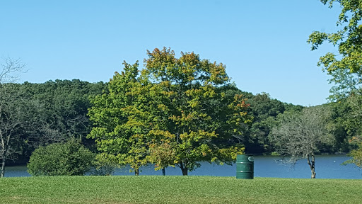 Nature Preserve «Pulaski Woods East», reviews and photos, 9600 Wolf Rd, Willow Springs, IL 60480, USA