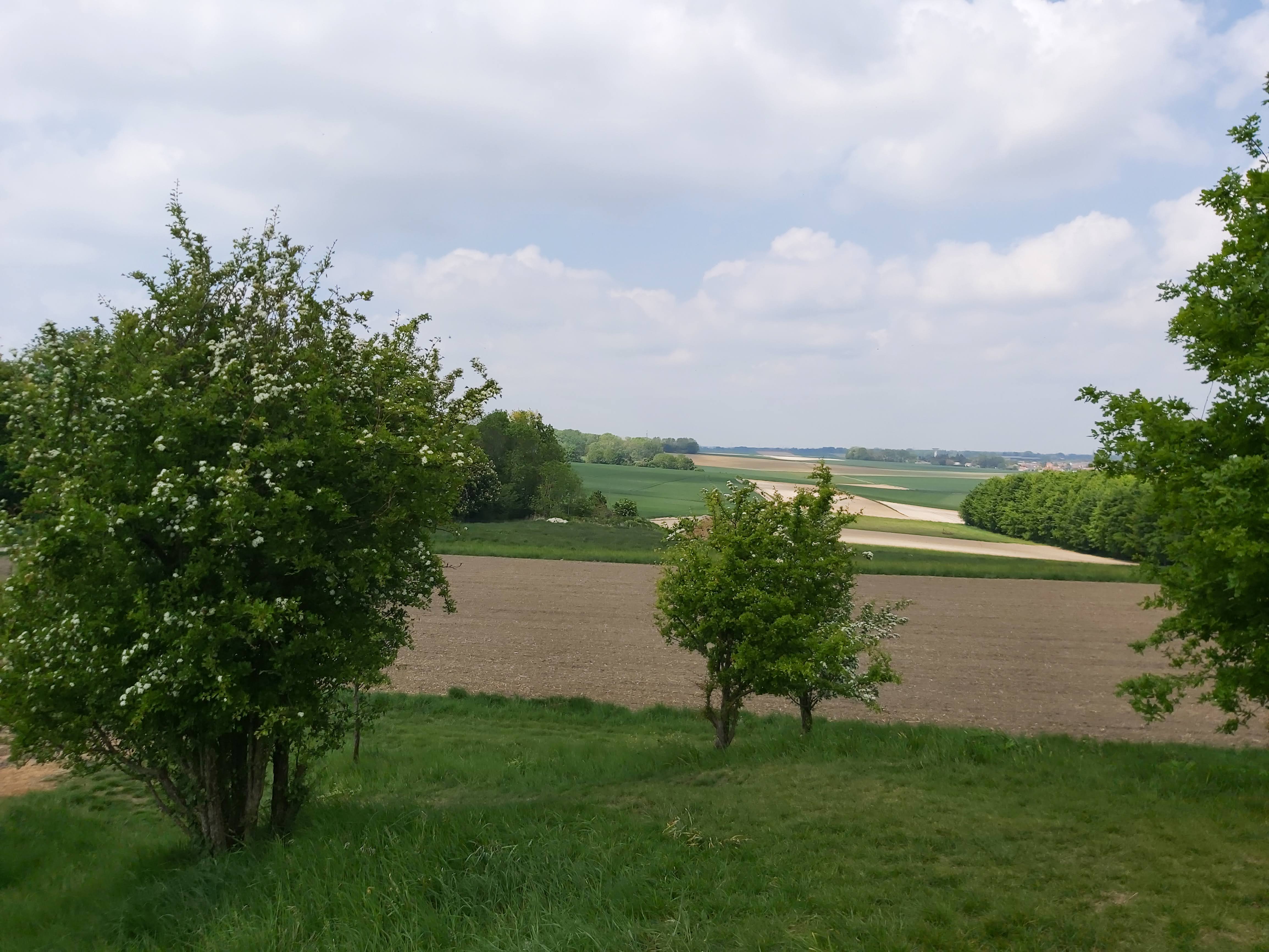 Photo n° 6 de l'avis de Gregory.e fait le 19/05/2022 à 15:31
