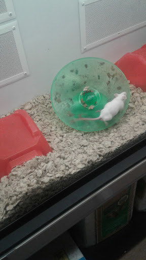 Pet Supply Store «Petco», reviews and photos, 369 S Weber Rd, Romeoville, IL 60446, USA