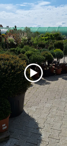 site_photo3