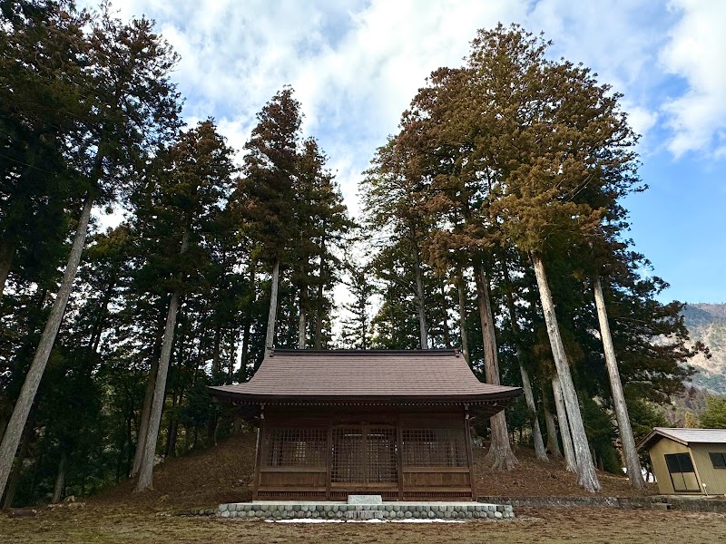 七社神社の大杉