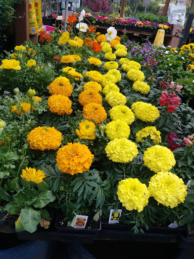 Hardware Store «Orchard Supply Hardware», reviews and photos, 900 El Camino Real, Millbrae, CA 94030, USA