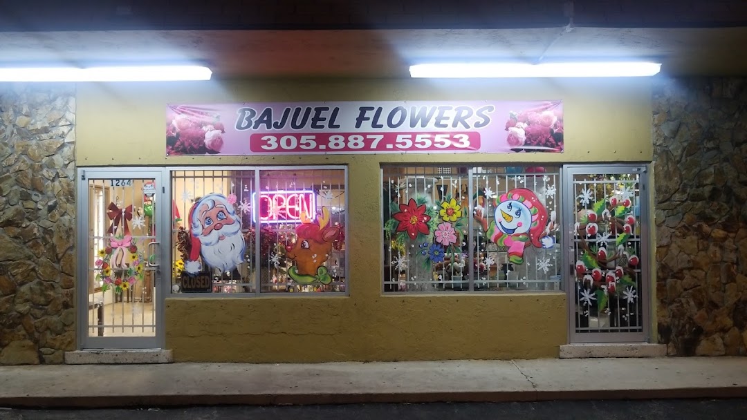 Bajuel Flower & Plants
