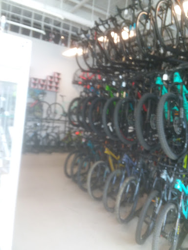 Bicycle Store «The Bicycle Planet», reviews and photos, 340 Robbins Ln, Syosset, NY 11791, USA