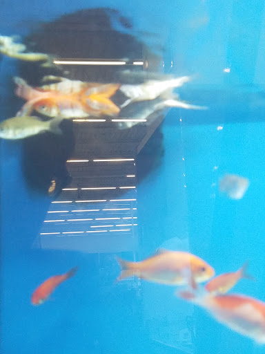 Pet Supply Store «Petco Animal Supplies», reviews and photos, 1311 E Army Post Rd, Des Moines, IA 50315, USA