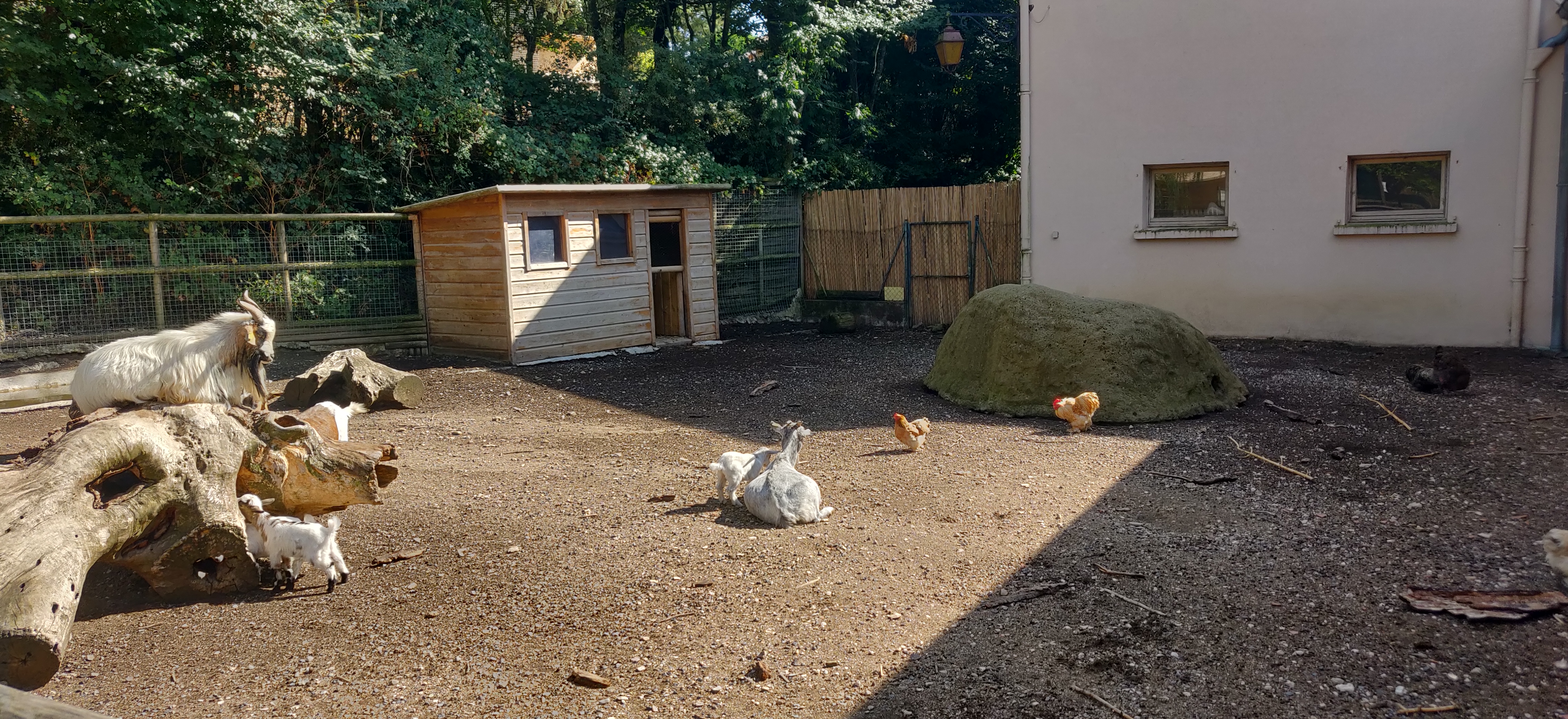 Photo n° 2 de l'avis de ToTo.i fait le 20/08/2019 à 20:17