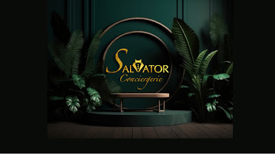Salvator Conciergerie à Montpellier