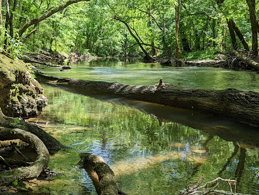 Park «Barfield Crescent Park», reviews and photos, 697 Veterans Pkwy, Murfreesboro, TN 37128, USA