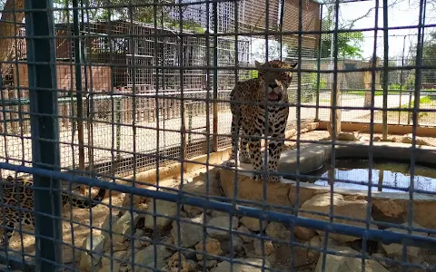 Paraguana Zoo image