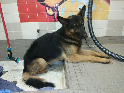 Pet Supply Store «Pet Food Express», reviews and photos, 1315 Linda Mar Shopping Center, Pacifica, CA 94044, USA