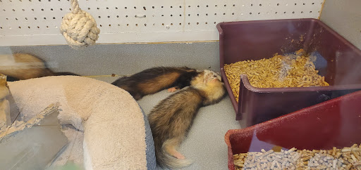 Pet Store «Animal Ark Pet Stores», reviews and photos, 33 Center St, Orem, UT 84057, USA