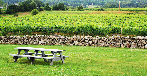 Vineyard «Westport Rivers Vineyard», reviews and photos, 417 Hixbridge Rd, Westport, MA 02790, USA