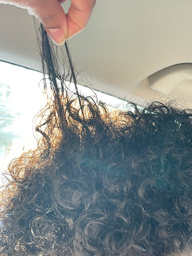 Barber Shop «Elite Barbers», reviews and photos, 4450 Nelson Brogdon Blvd NE, Buford, GA 30518, USA