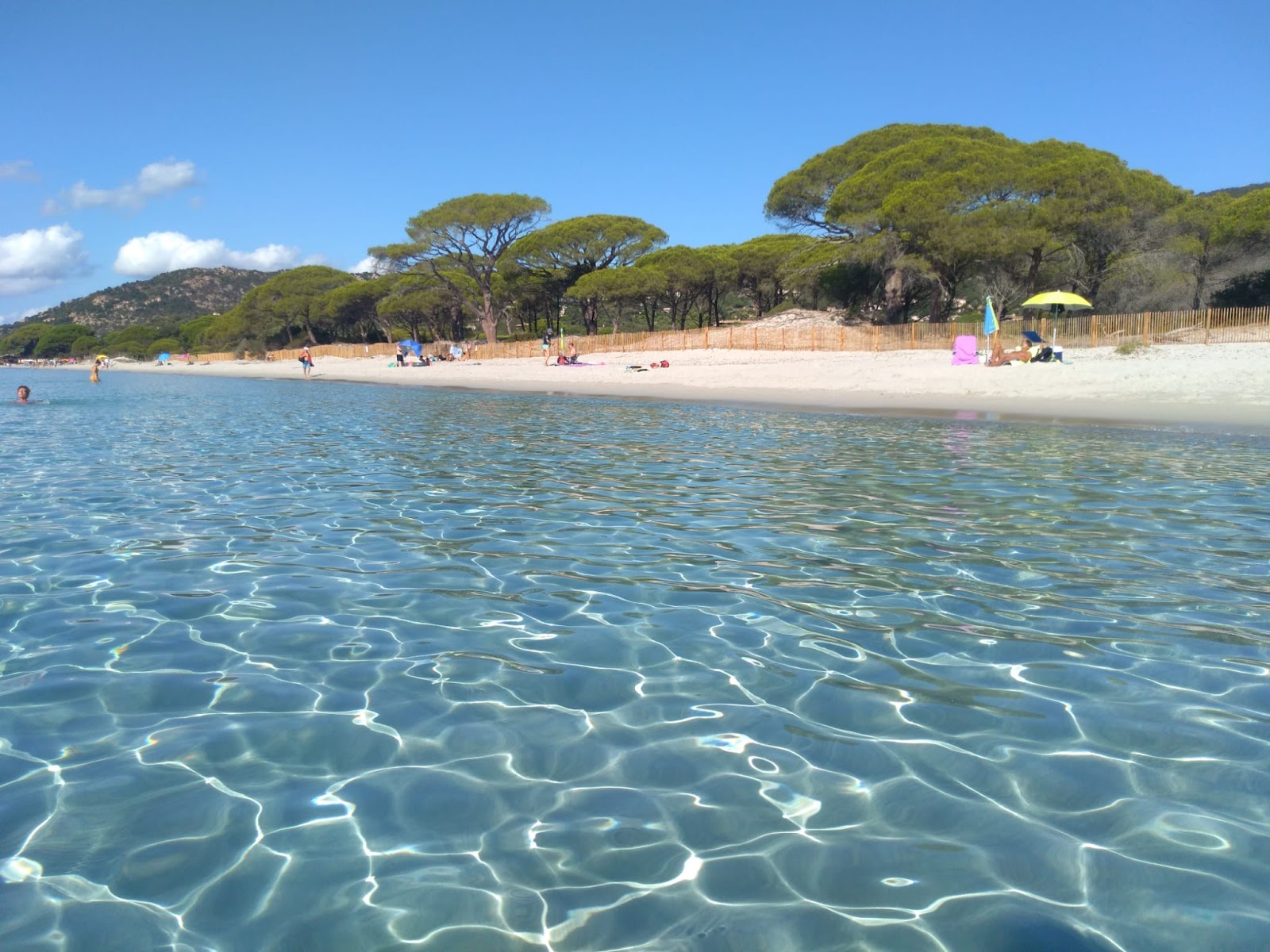 Plage de Palombaggia photo #26