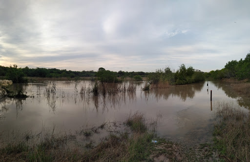 Park «Harlingen Thicket», reviews and photos, 311 E Tyler Ave, Harlingen, TX 78550, USA