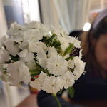 Photo n°5 de l'avis de Walter.a fait le 13/04/2024 à 09:03 sur le  Le 5 Palme - Restaurant & Lounge Bar à Marsala