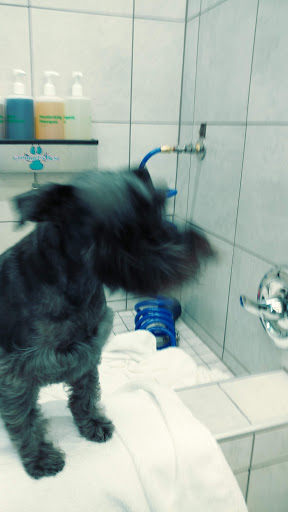 Pet Supply Store «Pet Supplies Plus», reviews and photos, 1377 N 21st St, Newark, OH 43055, USA