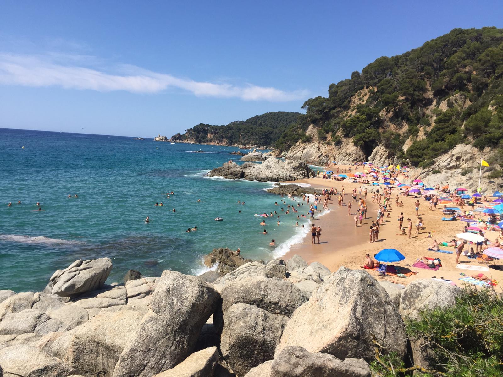 Foto de Praia de Cala Boadella localizado em área natural