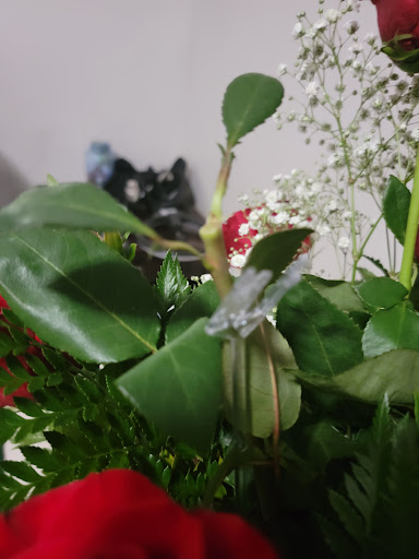 Florist «Flower Patch», reviews and photos, 4370 300 W, Salt Lake City, UT 84107, USA