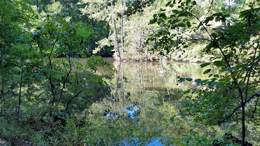 Performing Arts Theater «Chastain Park Amphitheatre», reviews and photos, 4469 Stella Dr NW, Atlanta, GA 30342, USA