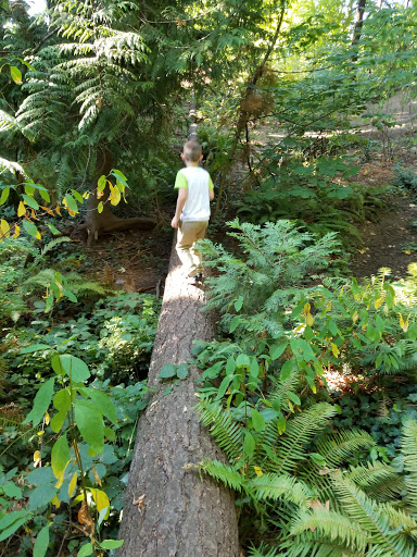 Park «Zumdieck Park», reviews and photos, 1500 108th Ave NE, Bellevue, WA 98004, USA