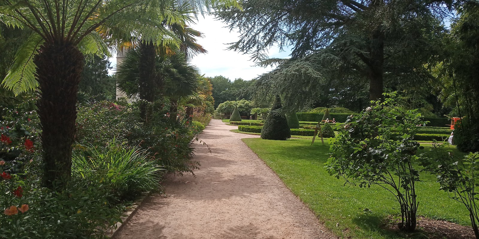 Photo n° 1 de l'avis de angeline.e fait le 13/07/2020 à 15:39