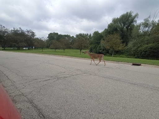 Public Golf Course «Greenfield Golf Course», reviews and photos, 12035 W Greenfield Ave, Milwaukee, WI 53214, USA