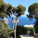 Photo n°1 de l'avis de Vincenzo.o fait le 10/06/2017 à 10:59 sur le  Ristorante Il Geranio Capri à Capri