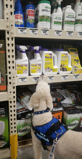 Home Improvement Store «The Home Depot», reviews and photos, 4101 Trueman Blvd, Hilliard, OH 43026, USA