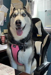 Air Services of the Carolinas - Photo 4 - Car repair in Clover, SC, Rock Hill