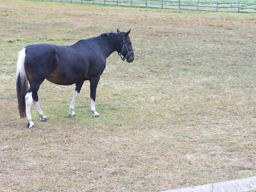 Farm «Giamarese Farm & Orchards», reviews and photos, 155 Fresh Ponds Rd, East Brunswick, NJ 08816, USA