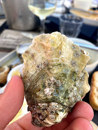 Photo n°36 de Gillardeau - La Cabanajam à Saint-Martin-de-Ré ()