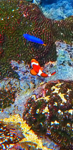 Used Car Dealer «Rockie Williams Premier Dodge Chrysler Jeep Ram», reviews and photos, 600 Pleasant Grove Rd, Mt Juliet, TN 37122, USA