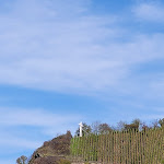 Photo n°1 de l'avis de Thomas.� fait le 11/10/2022 à 15:03 sur le  TERRA MOSEL - Event Arena im Weinberg vom Weingut Thielen-Feilen à Minheim