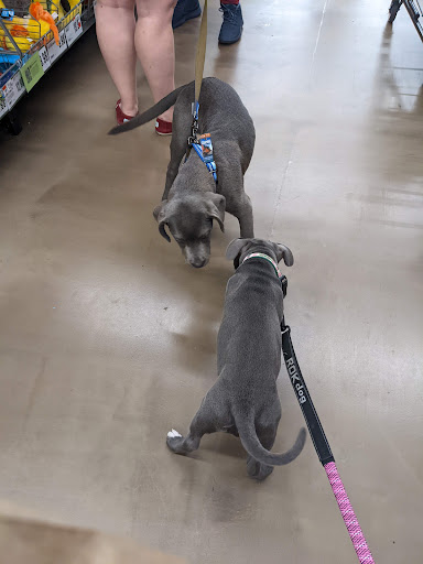 Pet Supply Store «Pet Supplies Plus», reviews and photos, 208 St James Ave, Goose Creek, SC 29445, USA