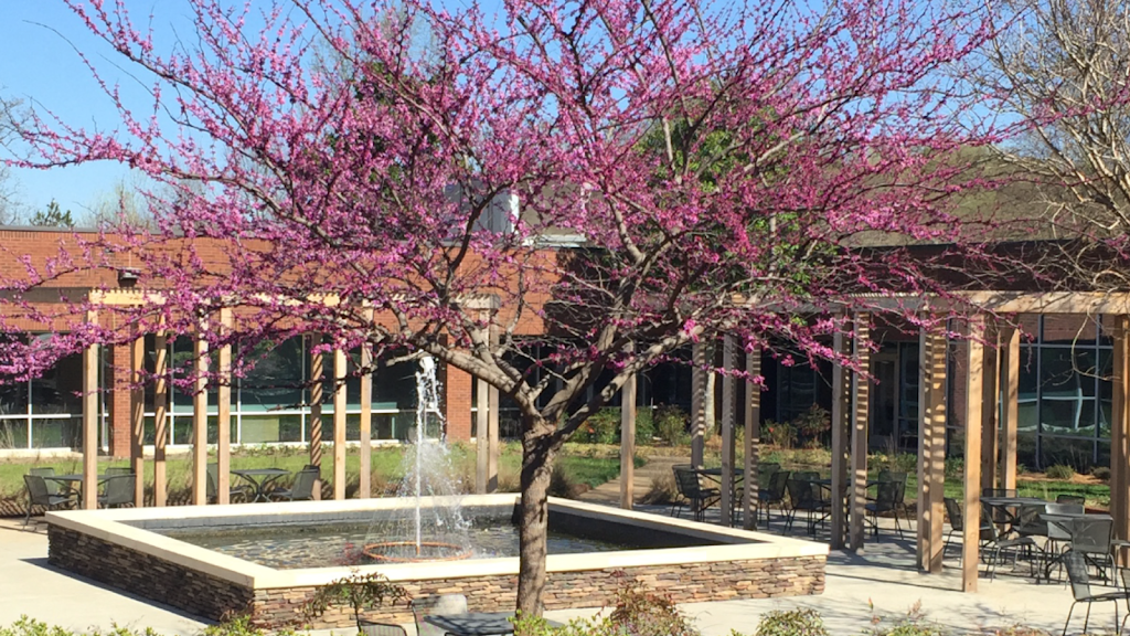 University Electrolysis 28262