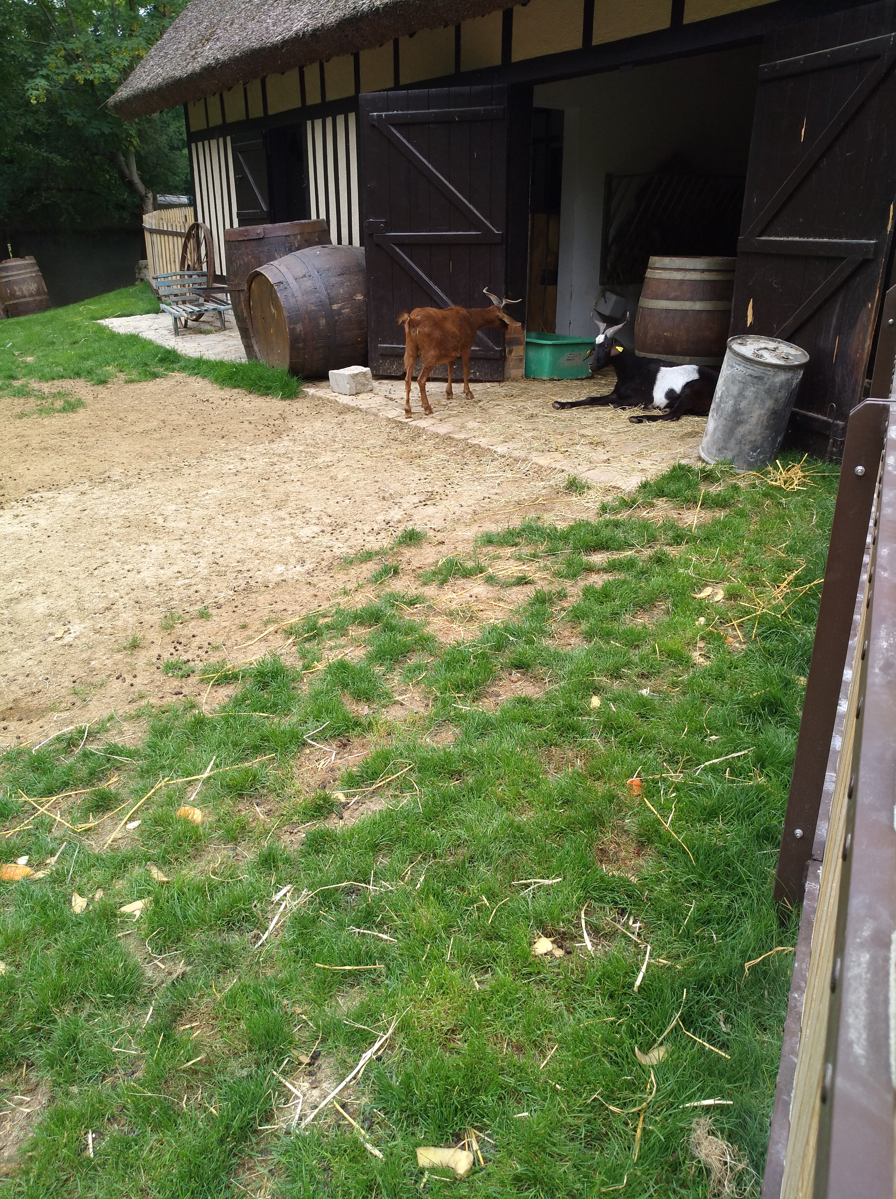 Photo n° 25 de l'avis de jehin.o fait le 10/06/2018 à 17:51