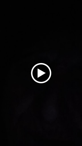 Sporting Goods Store «Big 5 Sporting Goods», reviews and photos, 1430 S Mooney Blvd, Visalia, CA 93277, USA