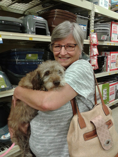 Pet Supply Store «PetSmart», reviews and photos, 5050 SE 14th St, Des Moines, IA 50320, USA