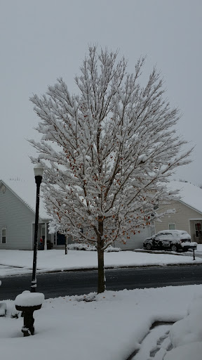 Golf Course «Wood Creek Golf Course», reviews and photos, 9080 Executive Club Dr, Delmar, MD 21875, USA