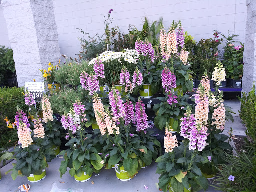 Pet Supply Store «PetSmart», reviews and photos, 1500 E Village Way #2380, Orange, CA 92865, USA