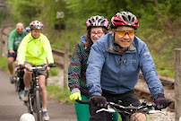 Life Cycle - Photo 7 - Car repair in Bristol, United Kingdom, Allentown