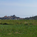 Photo n°2 de l'avis de Riccardo.o fait le 05/07/2023 à 13:45 sur le  Talamone Camping Village à Talamone