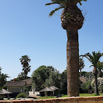 Photo n°19 de l'avis de Ilias.a fait le 09/07/2023 à 13:53 sur le  Costa dei Fiori à Santa Margherita di Pula